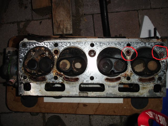 DSC07516 - Kopie.JPG