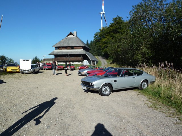 Fototermin Holzschlägermatte an der Schauinslandrennstrecke