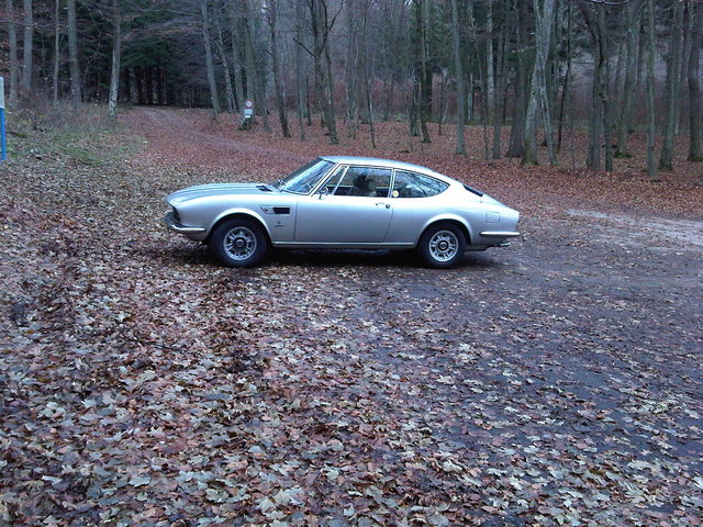 Dino im Herbst.jpg