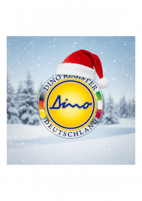 Registerlogo Weihnachtlich.jpg