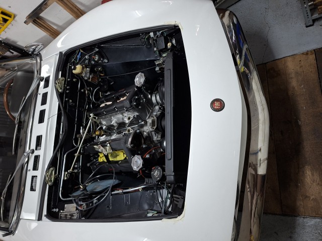 20260504_115352.jpg