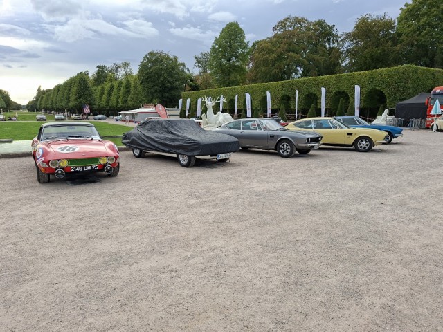 Le Mans Dino und Coupes.jpg