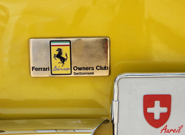 dinoownersclubswitzerla.jpg