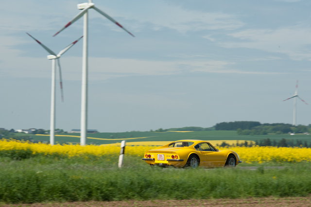 rapsgelber Dino in voller Fahrt