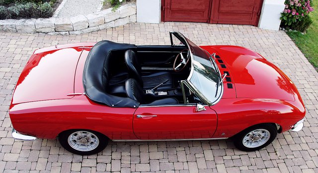 Dino Spider MJL 01.jpg